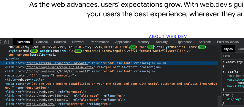 ./images/font-of-web.dev.png